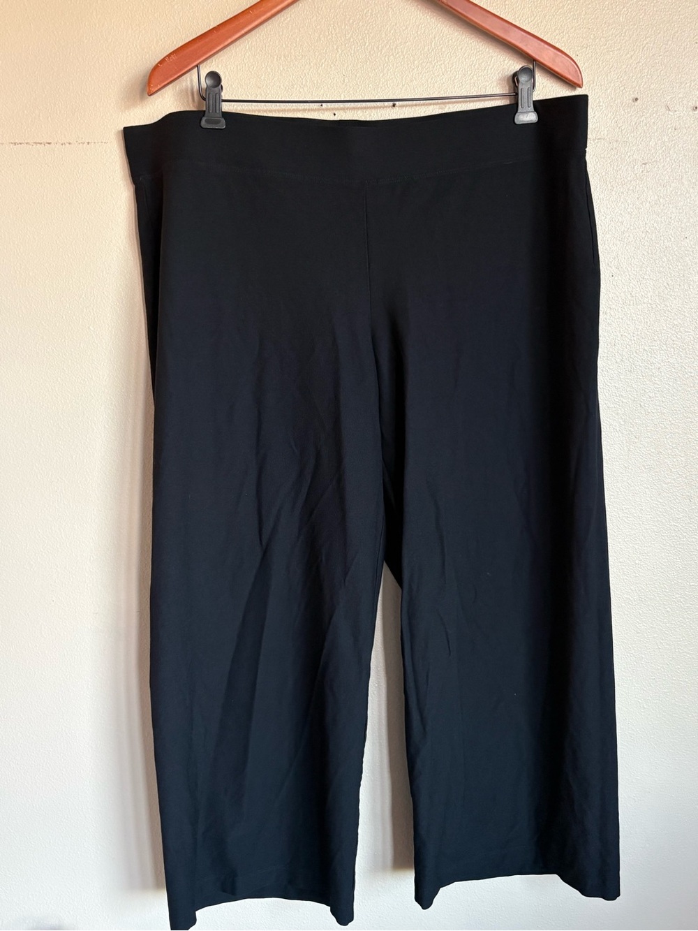 Eileen Fisher Stretch Pull On Cropped Pants Elastic Waist Minimalist Black
